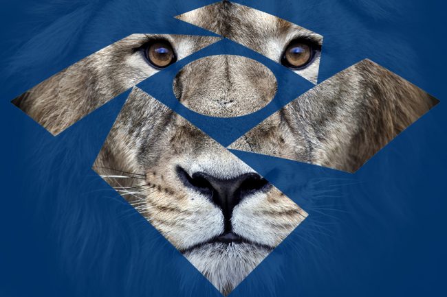 Psychedelic grunge style closeup portrait of an Asian lion.