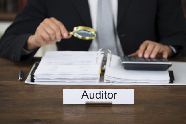 auditor